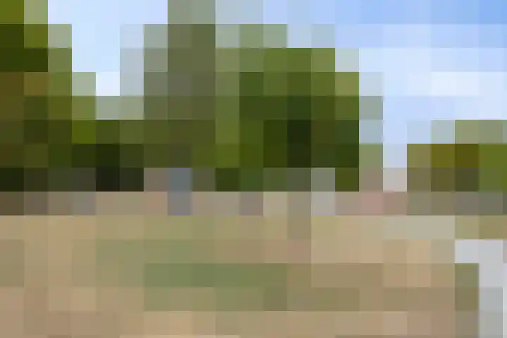 Wolbergstraat 22 Valkenswaard thumbnail 38