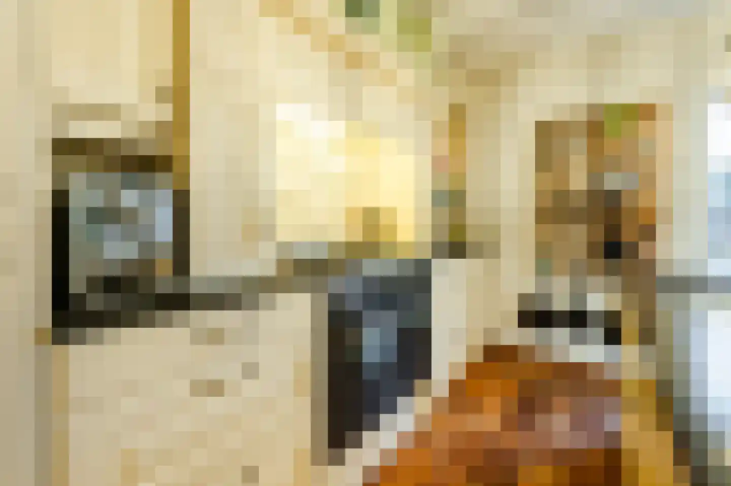 Wolbergstraat 30 Valkenswaard thumbnail 17