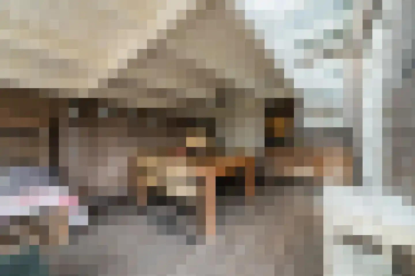 Wolbergstraat 30 Valkenswaard thumbnail 39