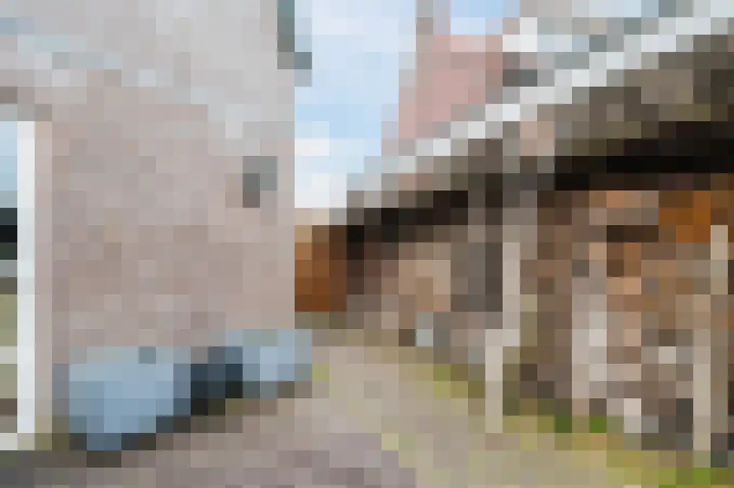 Wolbergstraat 30 Valkenswaard thumbnail 43