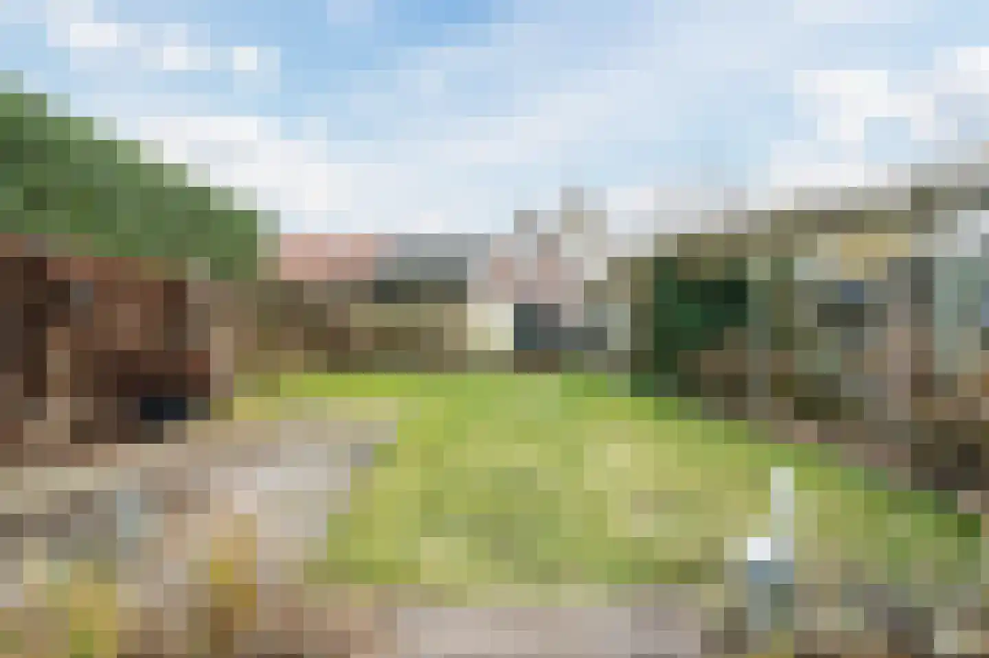 Wolbergstraat 30 Valkenswaard thumbnail 45
