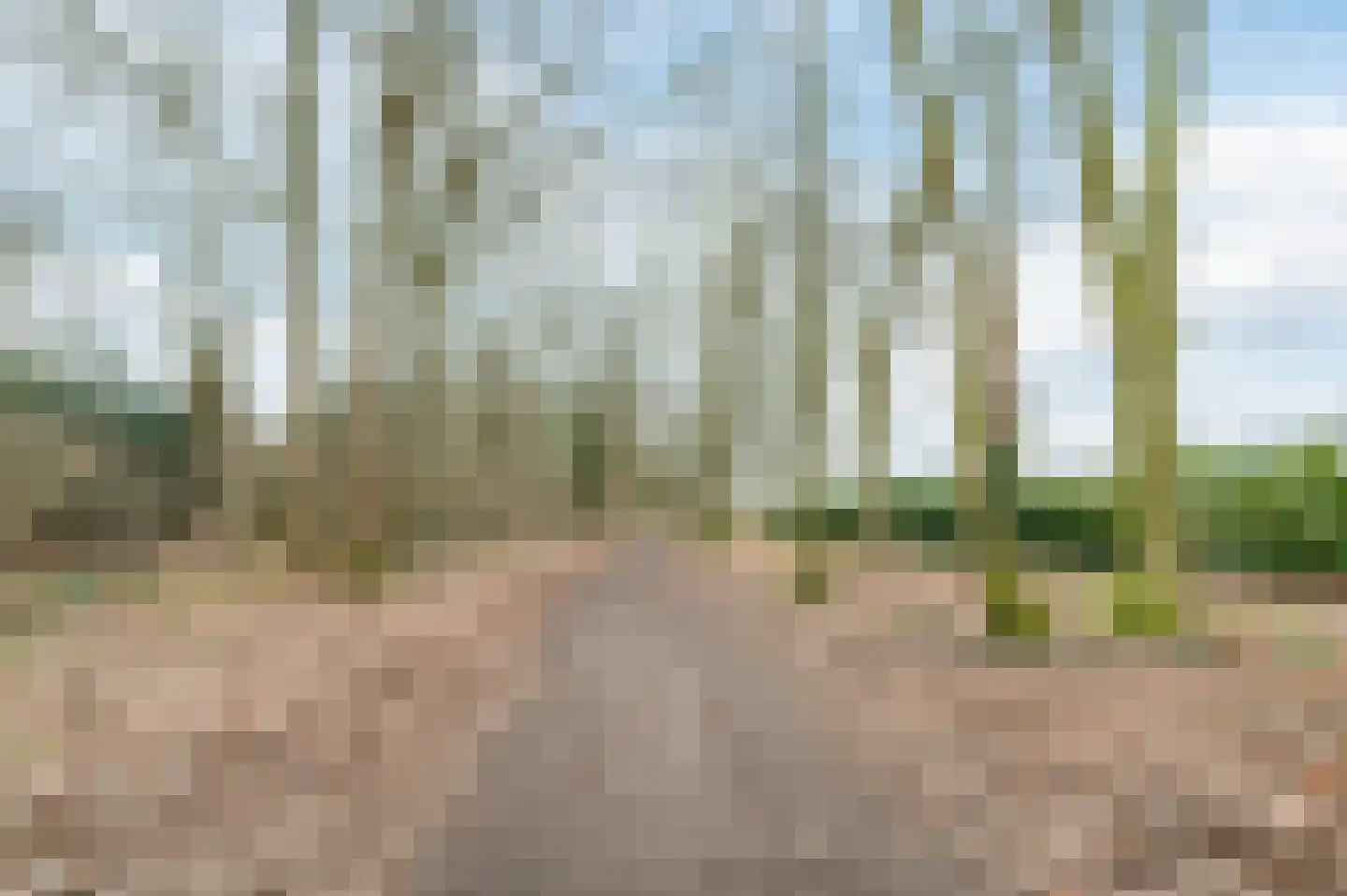 Wolbergstraat 30 Valkenswaard thumbnail 57