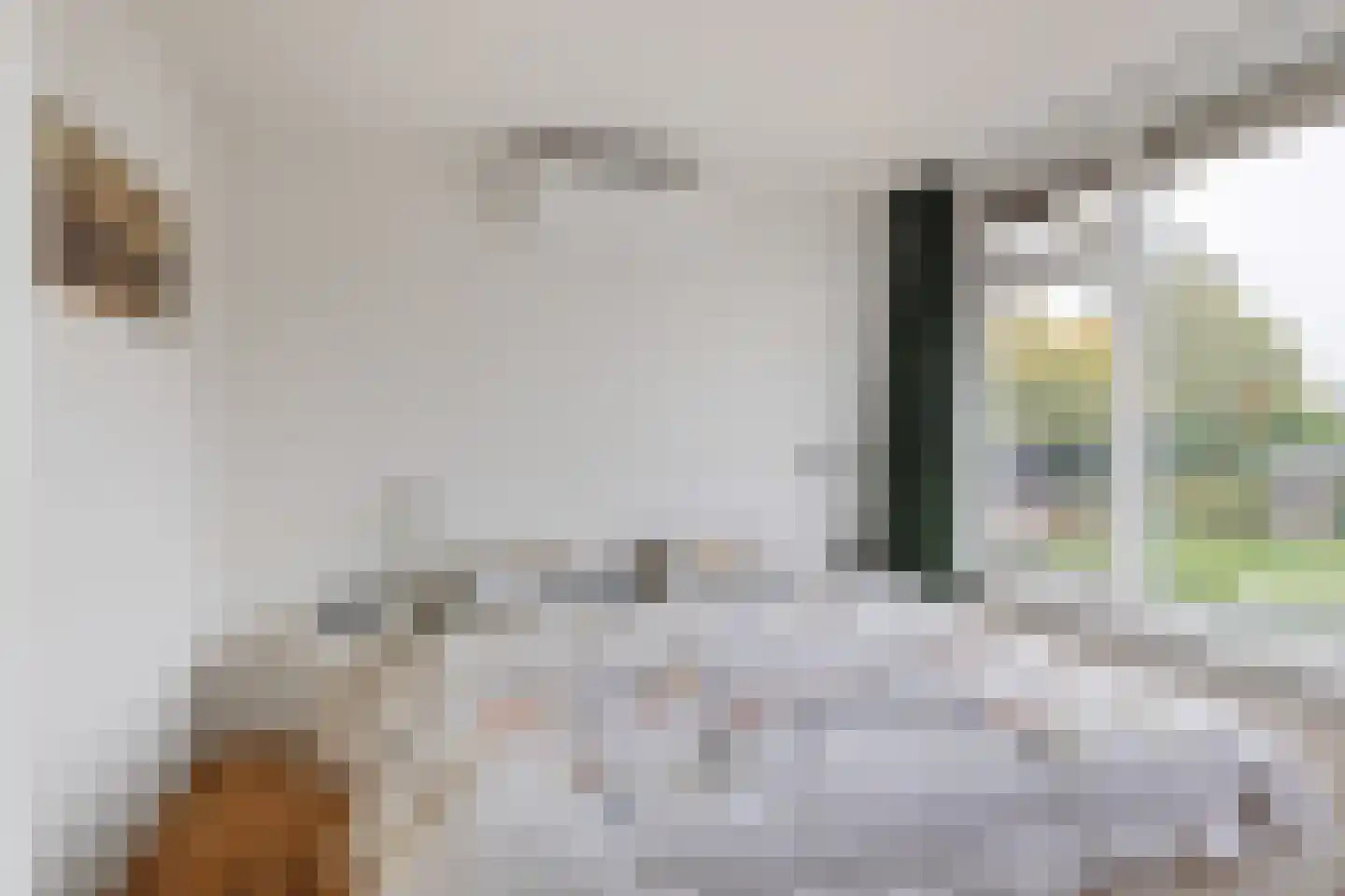 Wolbergstraat 37 Valkenswaard thumbnail 19