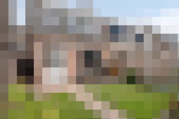 Wolbergstraat 52 Valkenswaard thumbnail 18