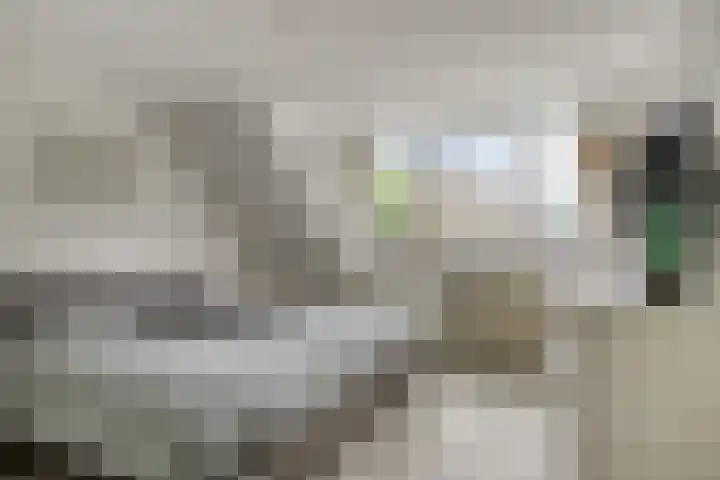 Wolbergstraat 52 Valkenswaard thumbnail 9