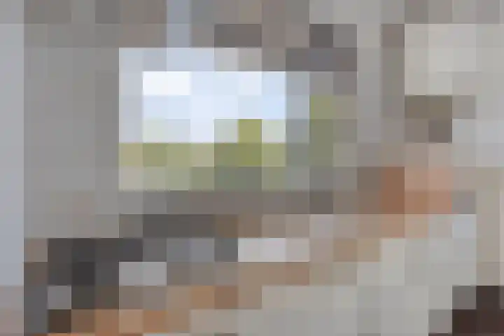 Wolbergstraat 85 Valkenswaard thumbnail 8