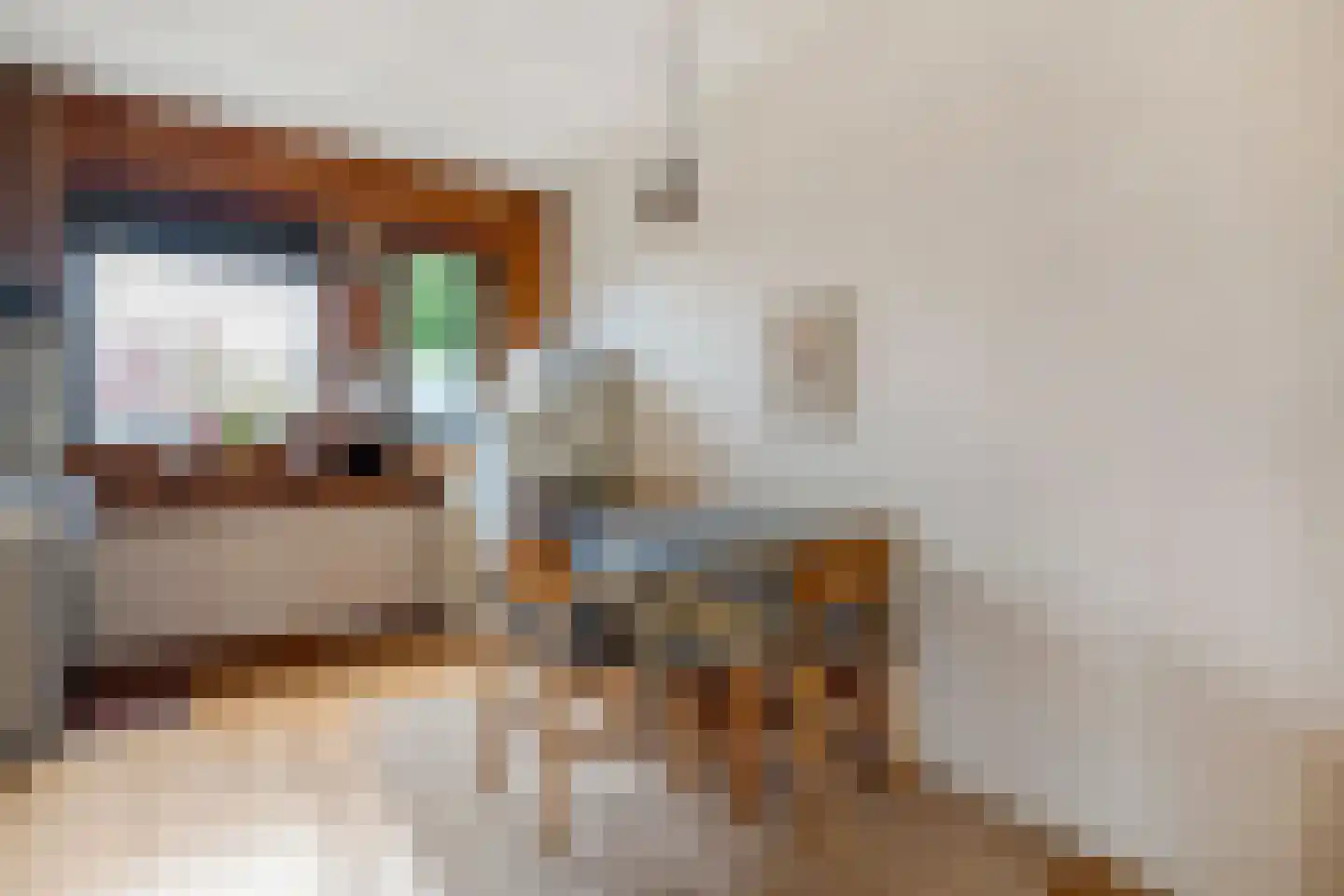 Wolbertsmate 6 Zwolle thumbnail 13