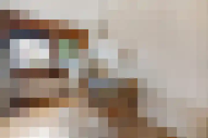 Wolbertsmate 6 Zwolle thumbnail 13