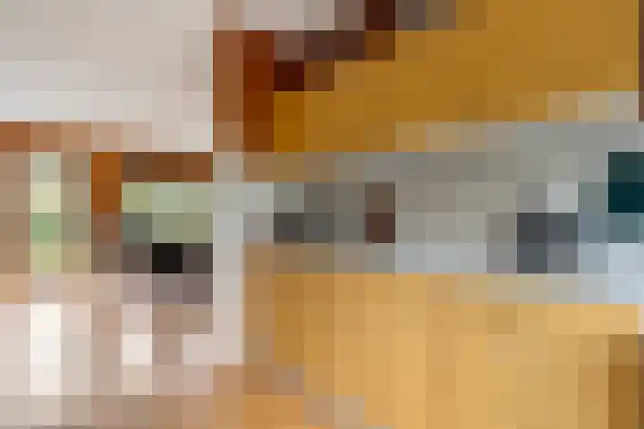 Wolbertsmate 6 Zwolle thumbnail 16