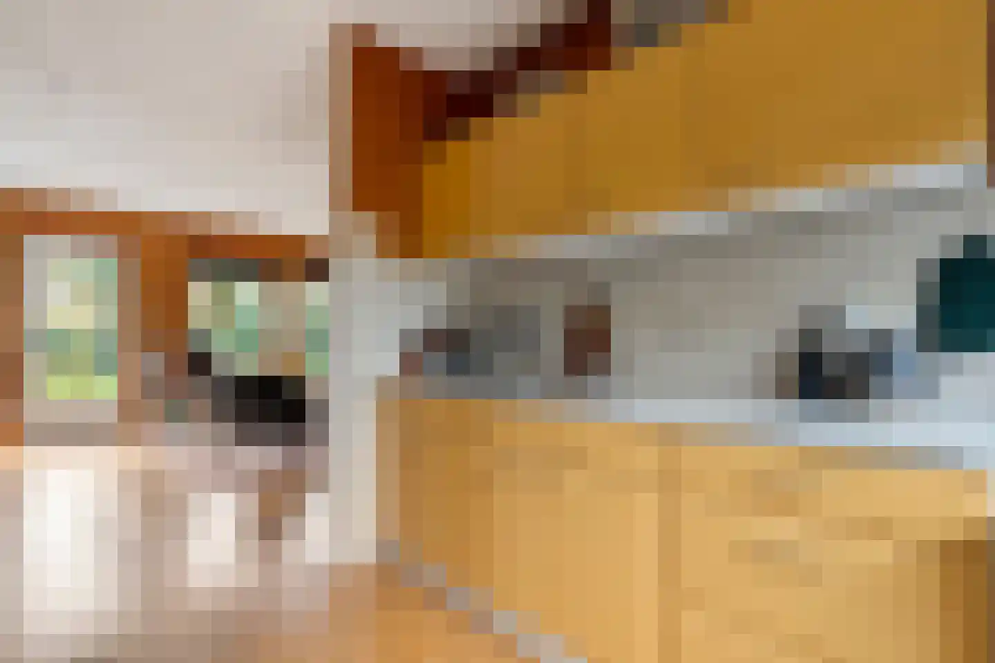 Wolbertsmate 6 Zwolle thumbnail 16