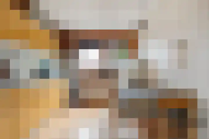 Wolbertsmate 6 Zwolle thumbnail 17