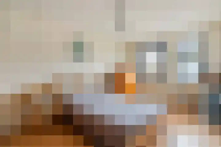 Wolbertsmate 6 Zwolle thumbnail 20