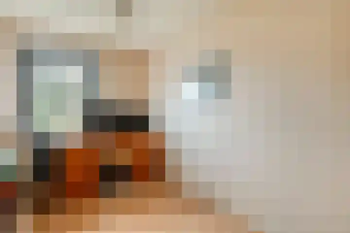 Wolbertsmate 6 Zwolle thumbnail 22
