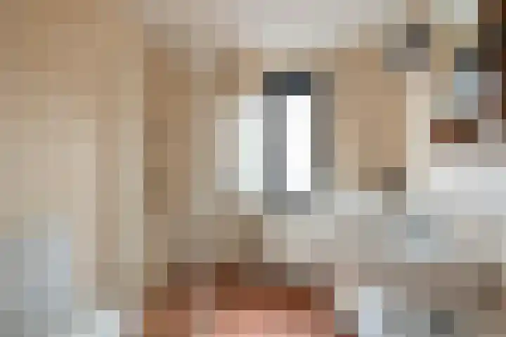 Wolbertsmate 6 Zwolle thumbnail 28