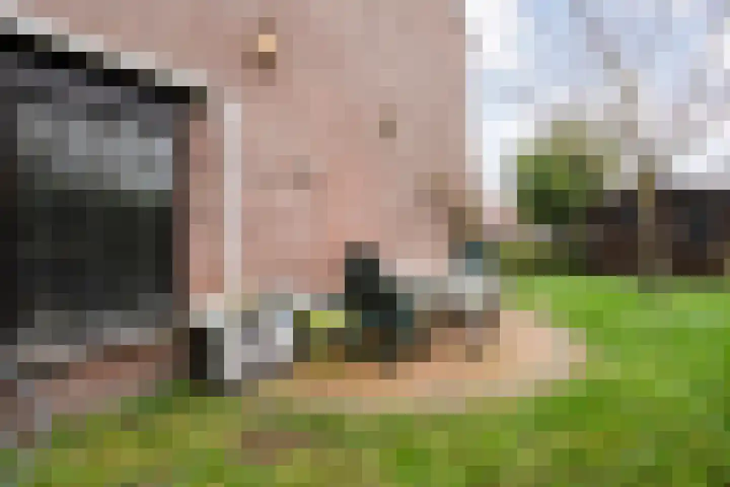 Wolbertsmate 6 Zwolle thumbnail 33