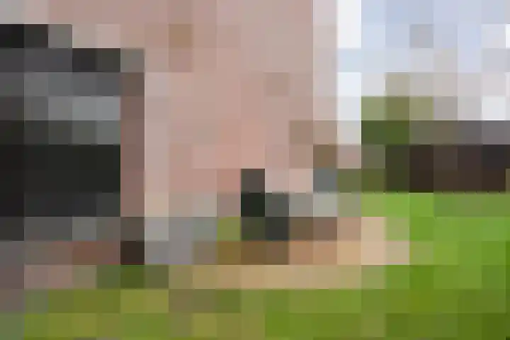Wolbertsmate 6 Zwolle thumbnail 33
