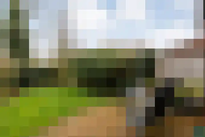 Wolbertsmate 6 Zwolle thumbnail 34
