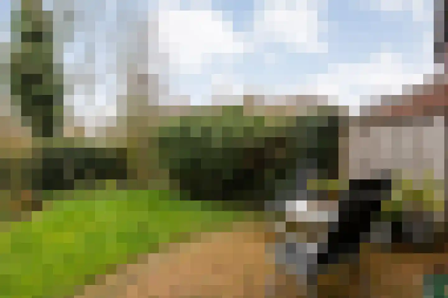 Wolbertsmate 6 Zwolle thumbnail 34