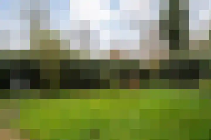 Wolbertsmate 6 Zwolle thumbnail 36