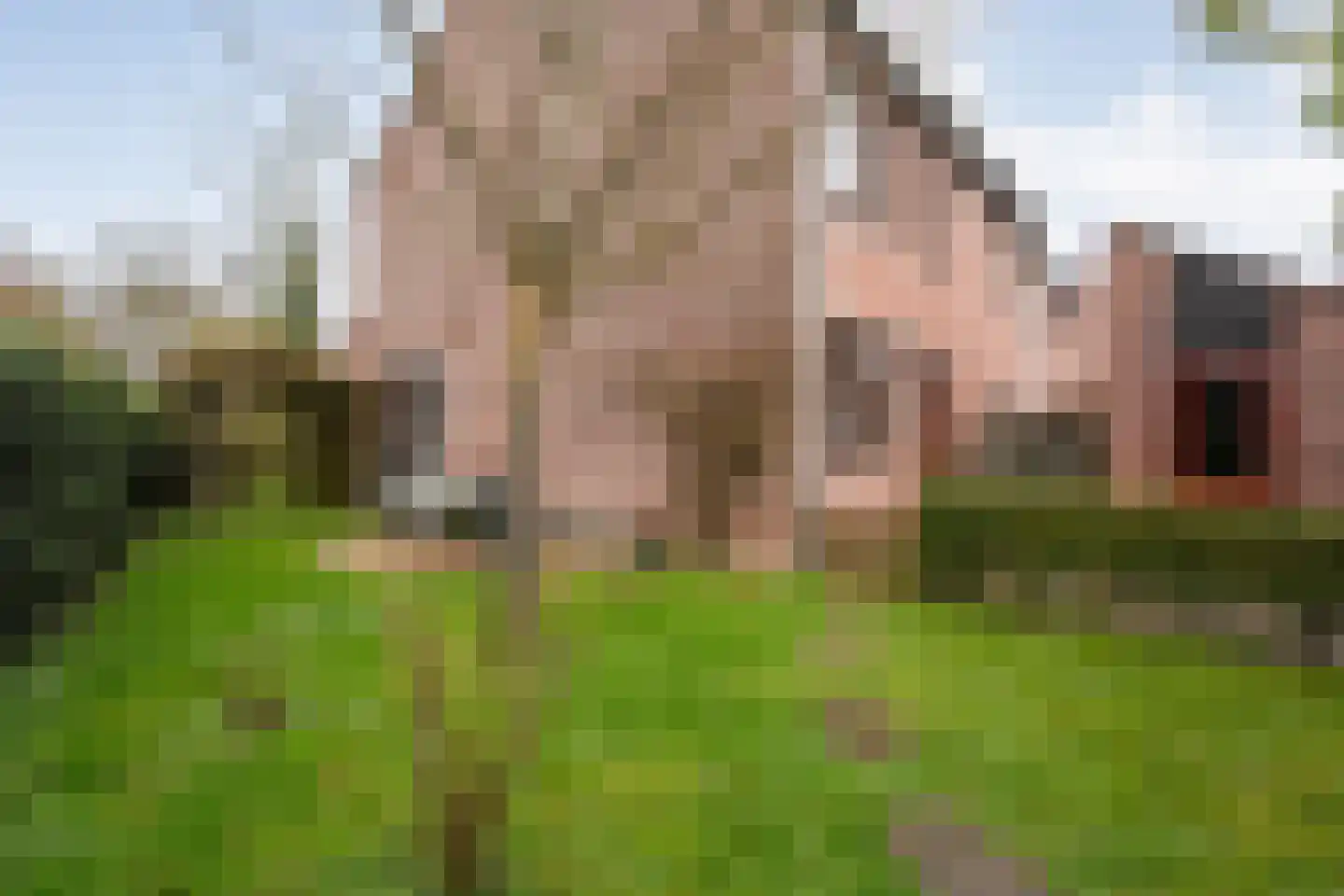 Wolbertsmate 6 Zwolle thumbnail 38