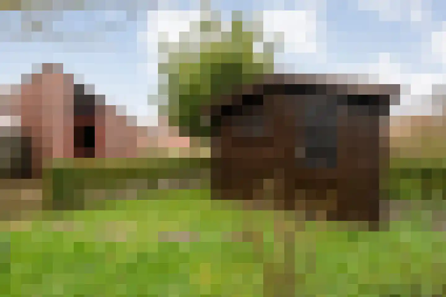 Wolbertsmate 6 Zwolle thumbnail 39