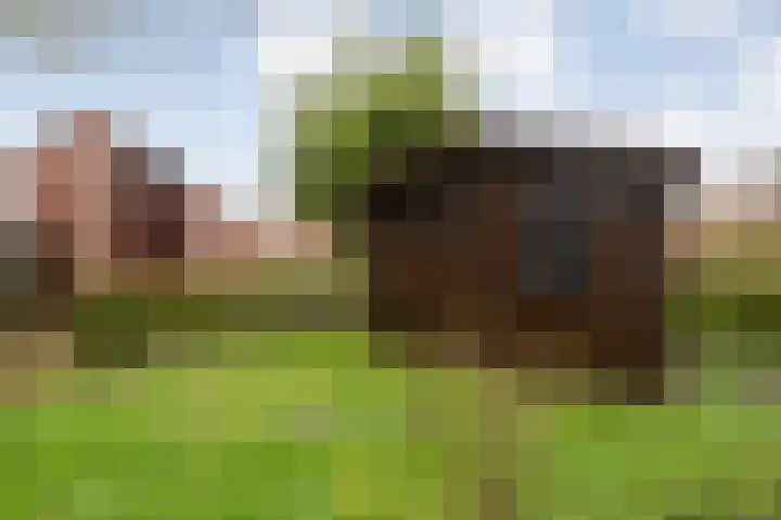 Wolbertsmate 6 Zwolle thumbnail 39