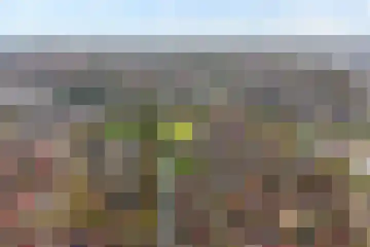 Wolbertsmate 6 Zwolle thumbnail 4