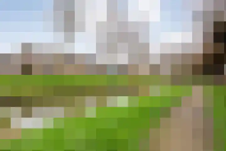 Wolbertsmate 6 Zwolle thumbnail 42