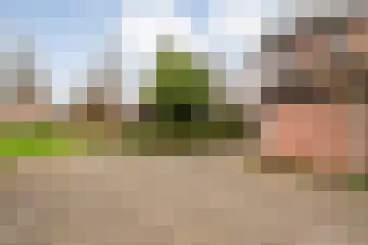 Wolbertsmate 6 Zwolle thumbnail 43