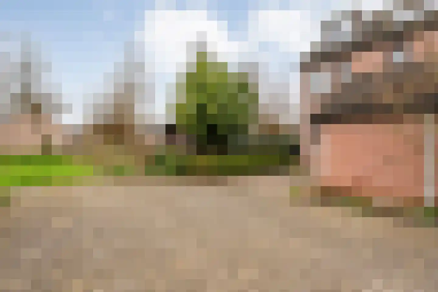 Wolbertsmate 6 Zwolle thumbnail 43