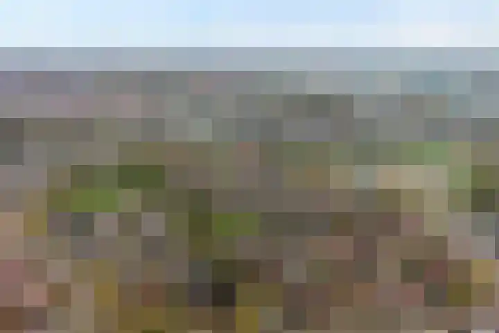 Wolbertsmate 6 Zwolle thumbnail 44