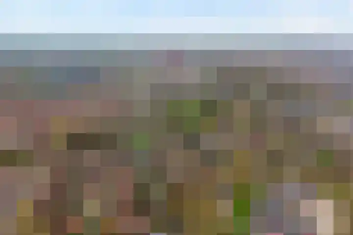 Wolbertsmate 6 Zwolle thumbnail 45
