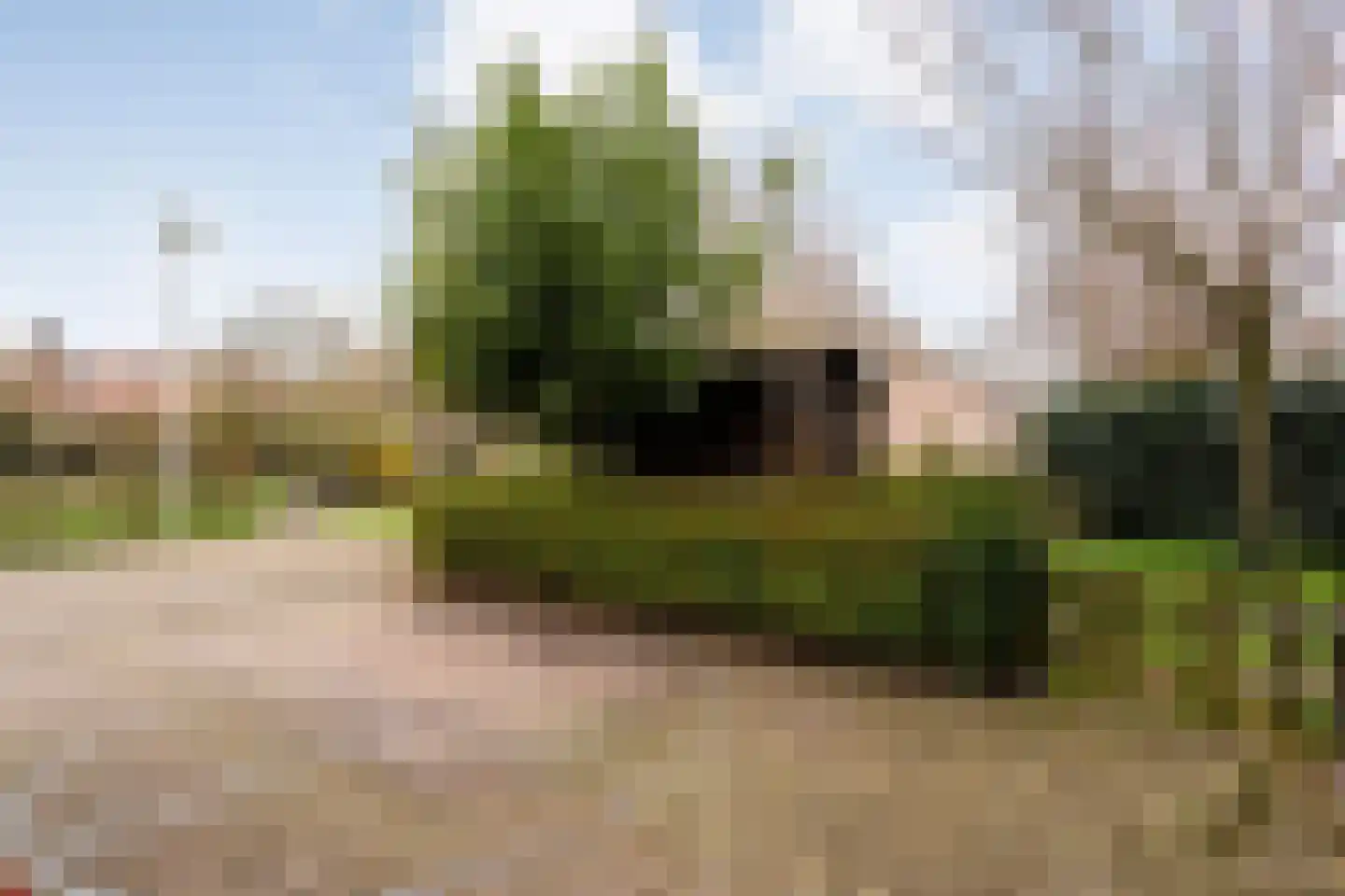 Wolbertsmate 6 Zwolle thumbnail 6