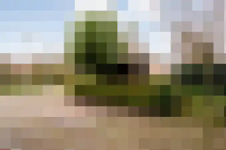 Wolbertsmate 6 Zwolle thumbnail 6