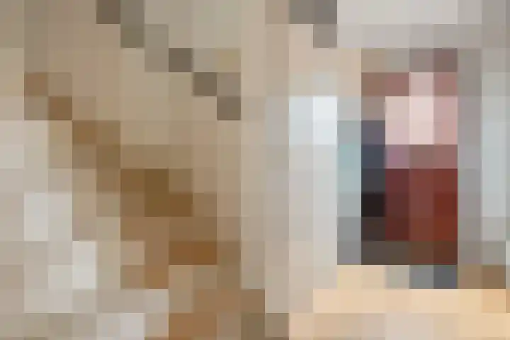 Wolbertsmate 6 Zwolle thumbnail 7