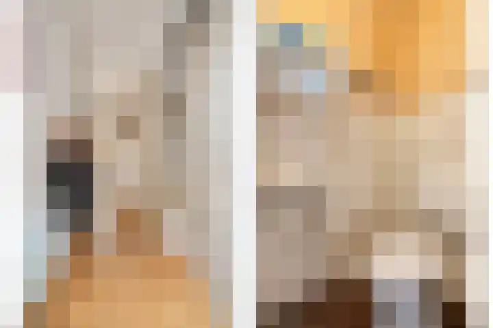 Wolbertsmate 6 Zwolle thumbnail 8
