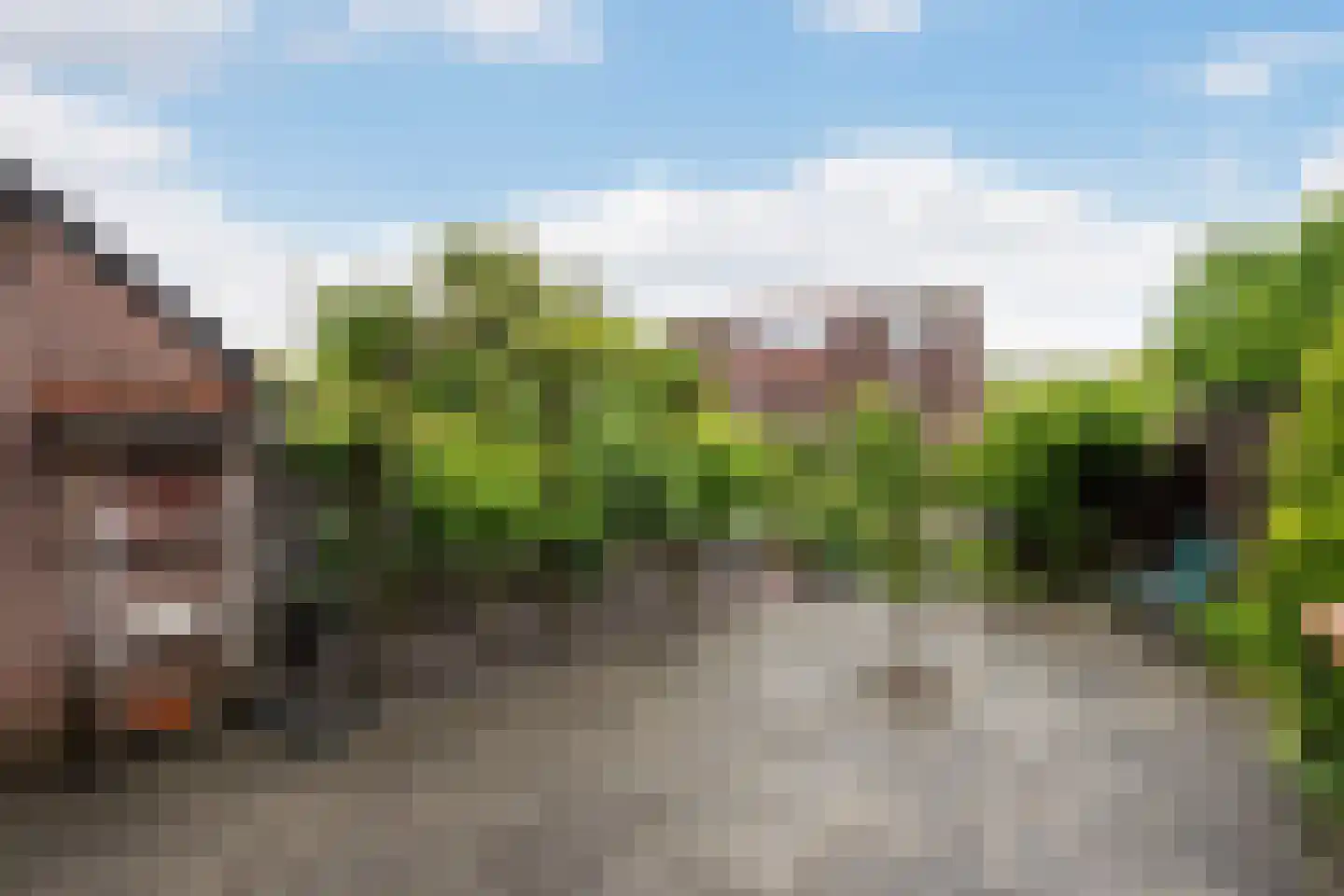 Wolbertsmate 8 Zwolle thumbnail 13