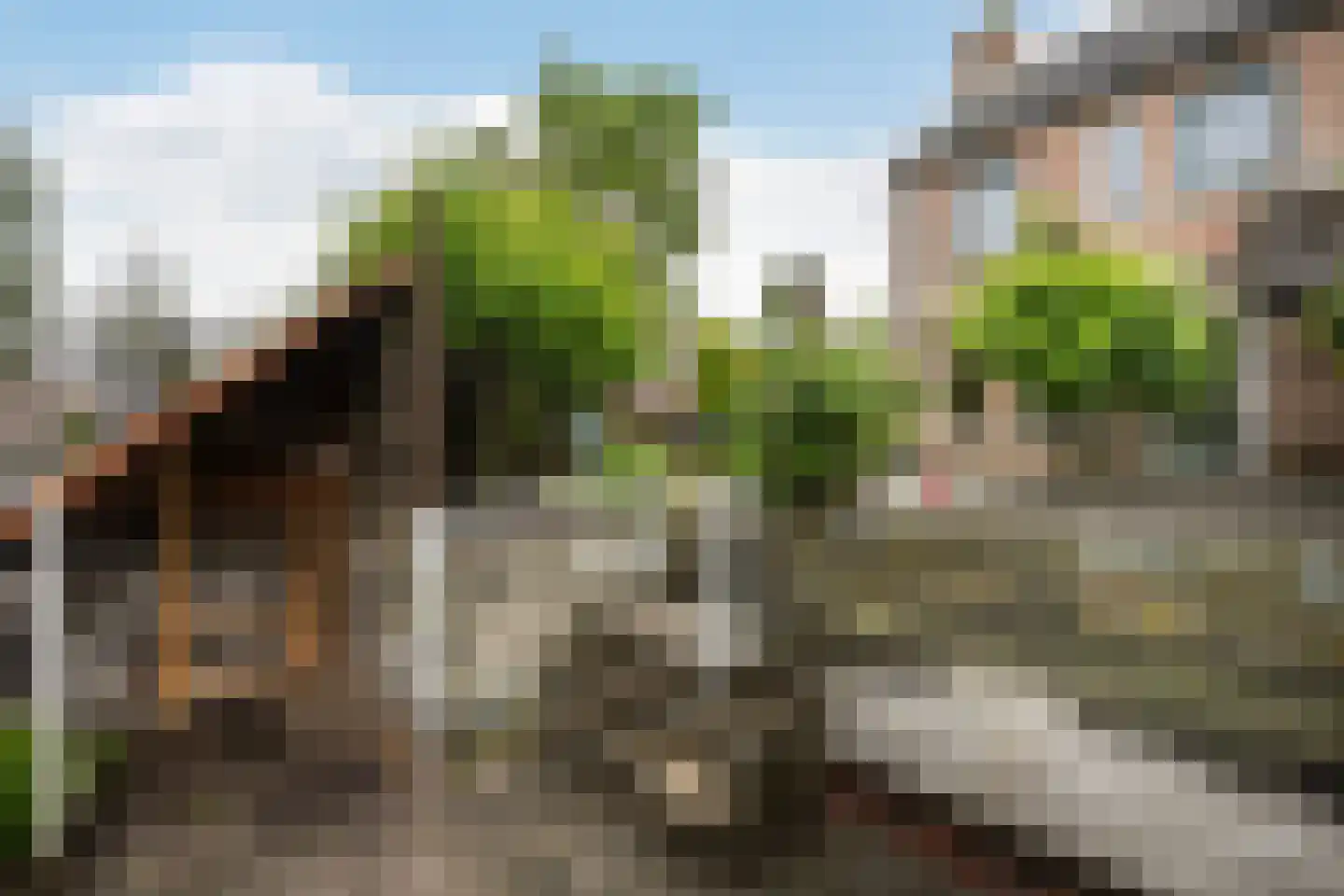 Wolbertsmate 8 Zwolle thumbnail 15