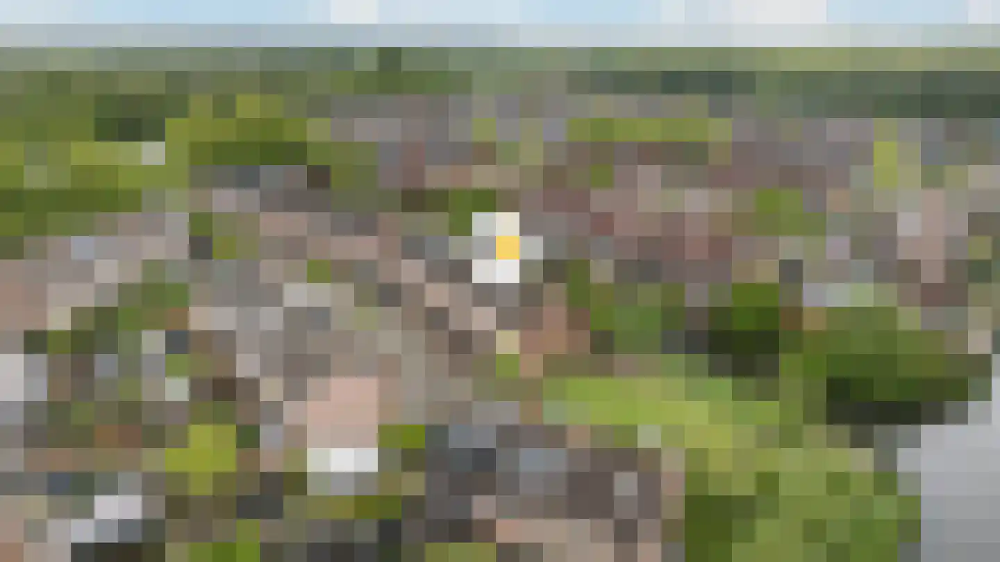 Wolbertsmate 8 Zwolle thumbnail 30