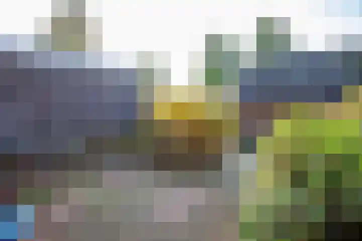 Wolborgenmate 126 Doetinchem thumbnail 11