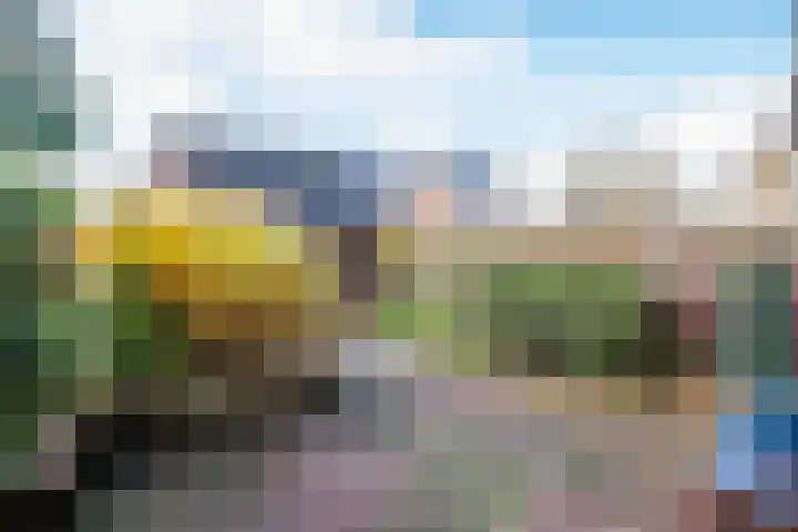 Wolborgenmate 126 Doetinchem thumbnail 12
