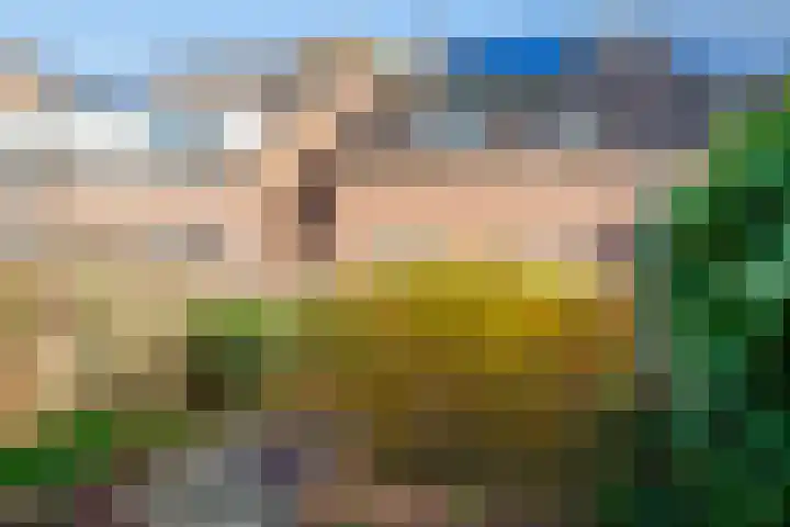 Wolborgenmate 126 Doetinchem thumbnail 13