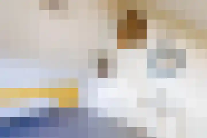 Wolborgenmate 126 Doetinchem thumbnail 31