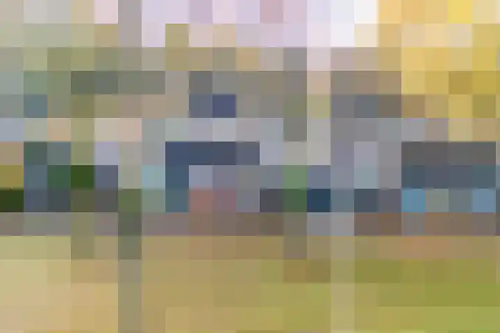 Wolborgenmate 126 Doetinchem thumbnail 39