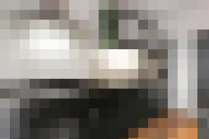 Wolborgenmate 128 Doetinchem thumbnail 23
