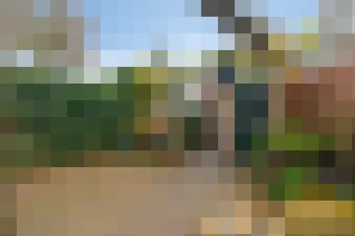 Wolborgenmate 128 Doetinchem thumbnail 26