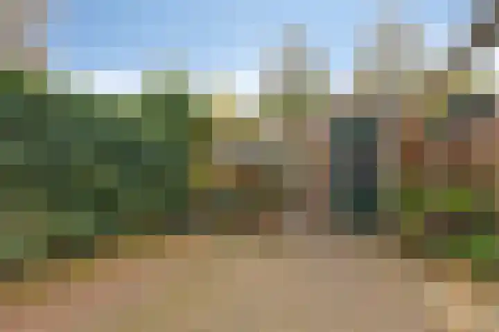 Wolborgenmate 128 Doetinchem thumbnail 27