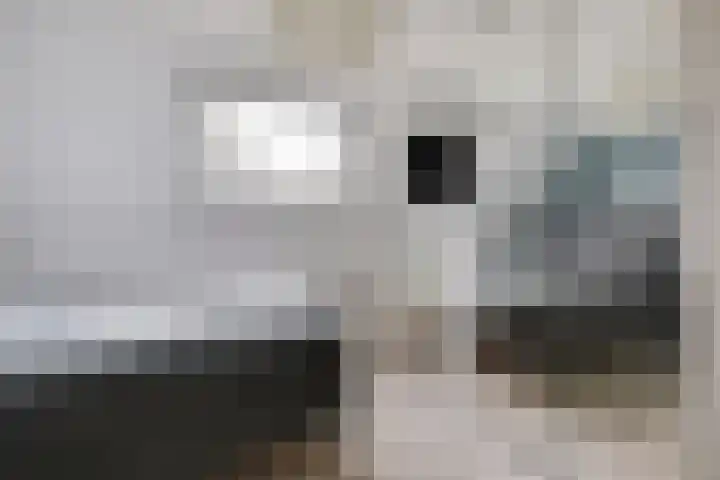 Wolborgenmate 128 Doetinchem thumbnail 38