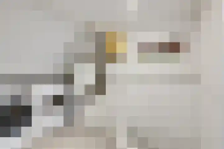 Wolborgenmate 128 Doetinchem thumbnail 42