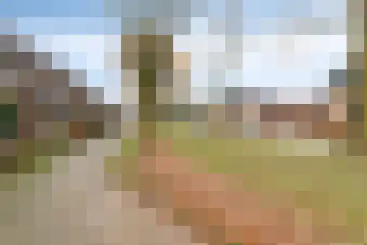 Wolborgenmate 128 Doetinchem thumbnail 7